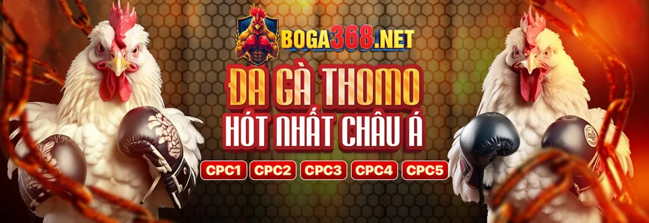 Hỗ trợ từ các tổ chức chuyên nghiệp